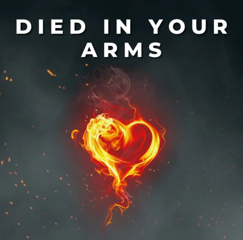 JANIS GRUBER – DIED IN YOUR ARMS cover